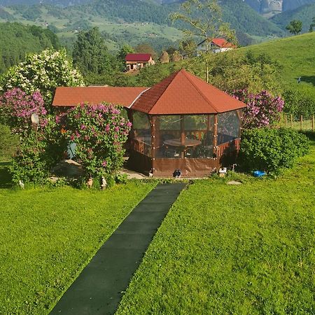 Nona Highland Home Moieciu de Jos Exterior photo