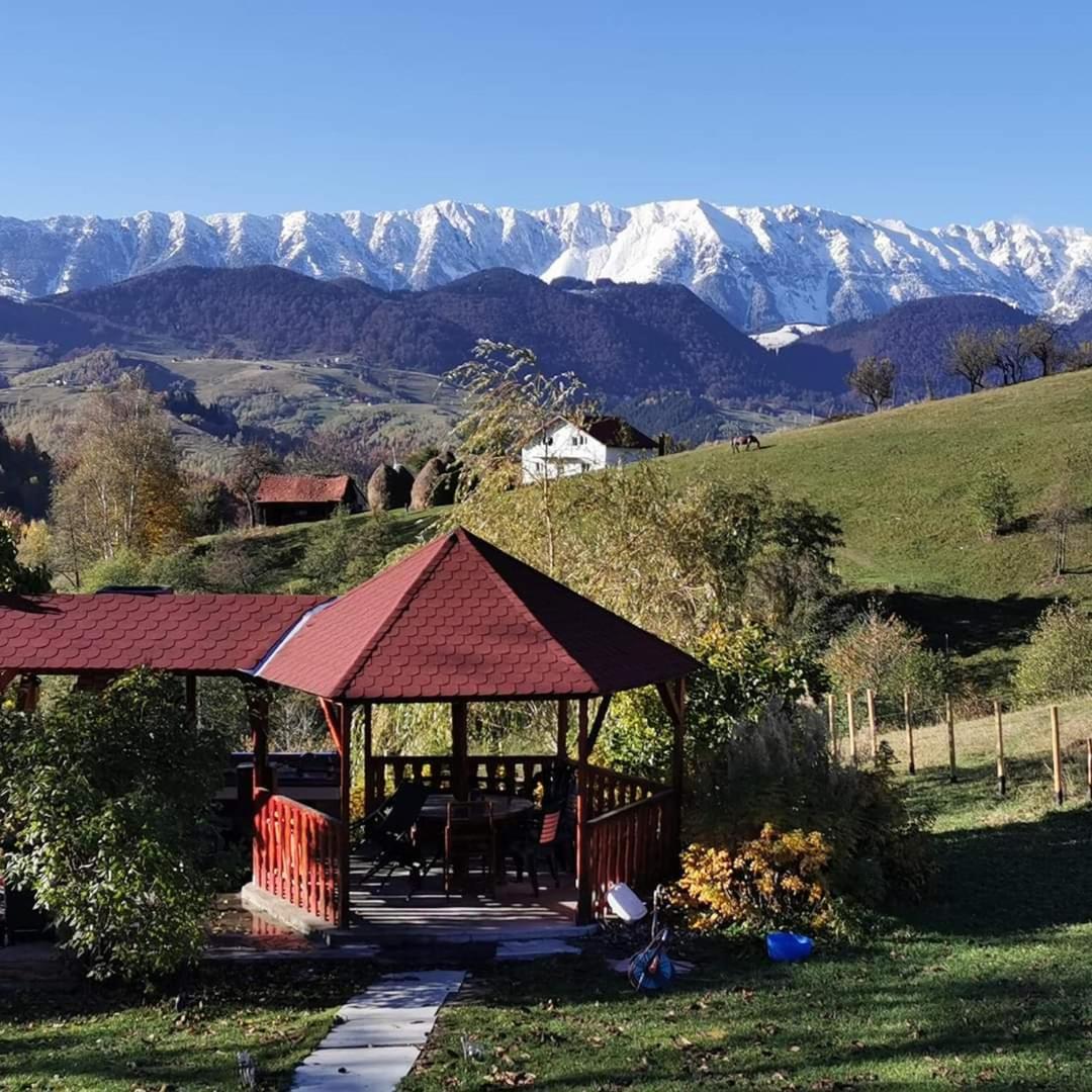 Nona Highland Home Moieciu de Jos Exterior photo