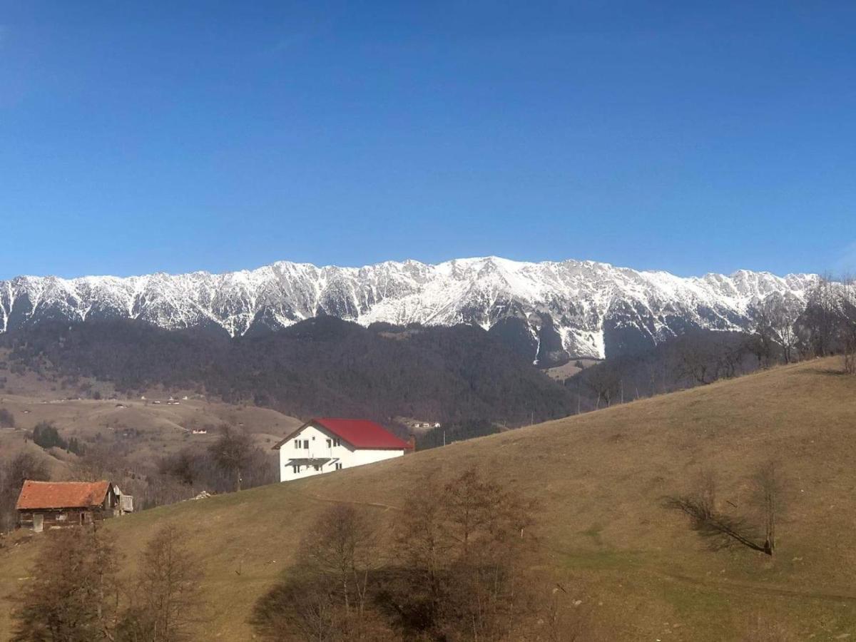Nona Highland Home Moieciu de Jos Exterior photo